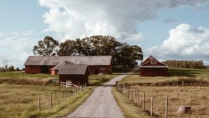 How to Plan and Design Your Farm Layout and Infrastructure? The ...