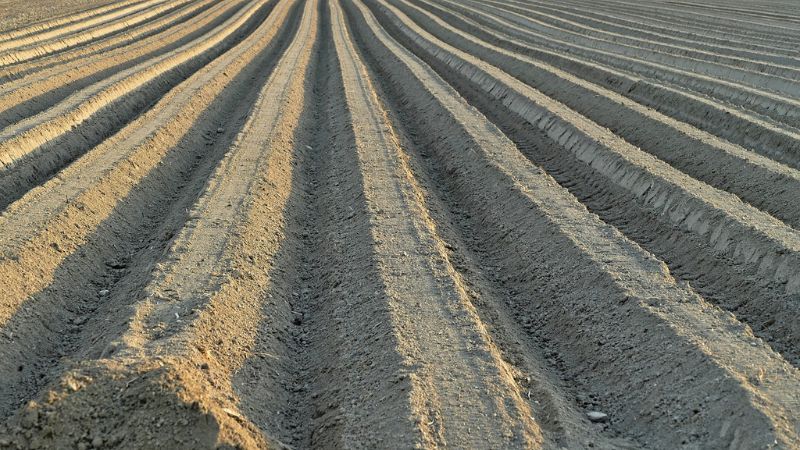 What Are The Best Practices For Soil Preparation And Crop Rotation
