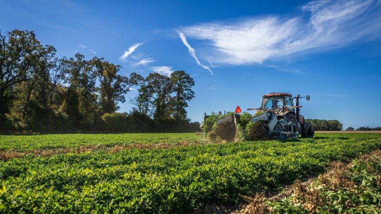 Used Tractor Price Trends & Market Guide (2026 Update)