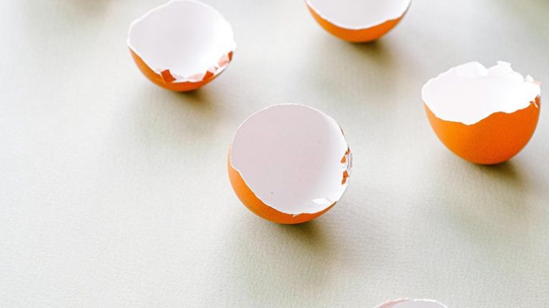 Can You Put Eggshells in Compost? Complete Guide