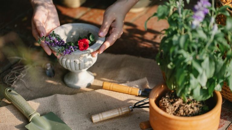 Gardening for Mental Health: Benefits & Survey Results (2026 Update)