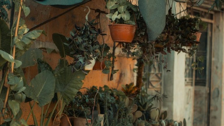 Urban Gardening Yield: Maximize Your Harvest