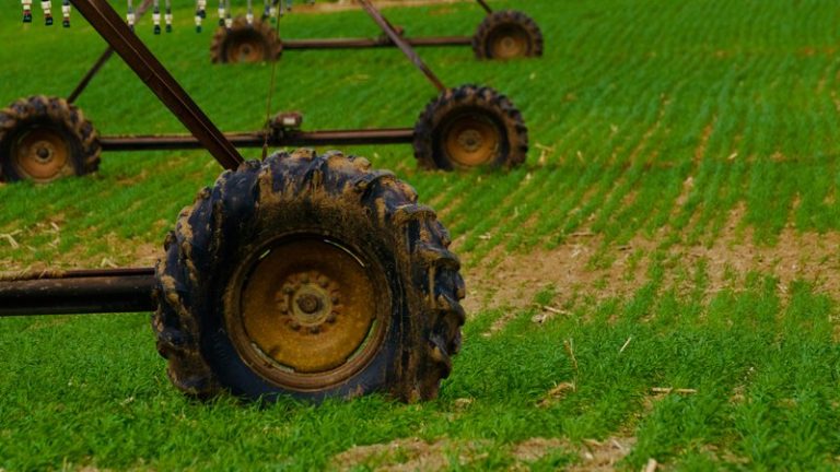 How Farmers Earn Carbon Credits: Complete Guide