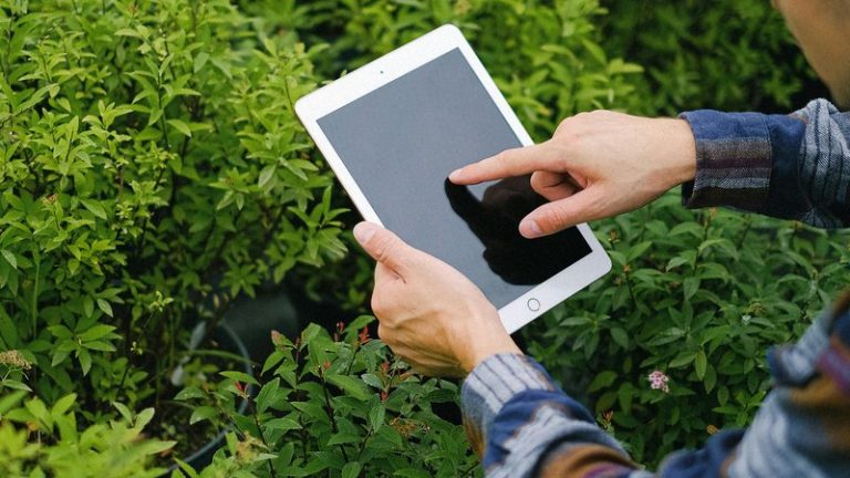 AI in Agriculture: Benefits, Risks & Future