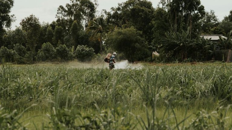 How Long Before Rain After Glyphosate Application